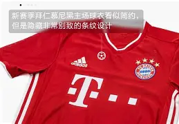 半岛体育网址-拜仁慕尼黑转会最新消息  第2张